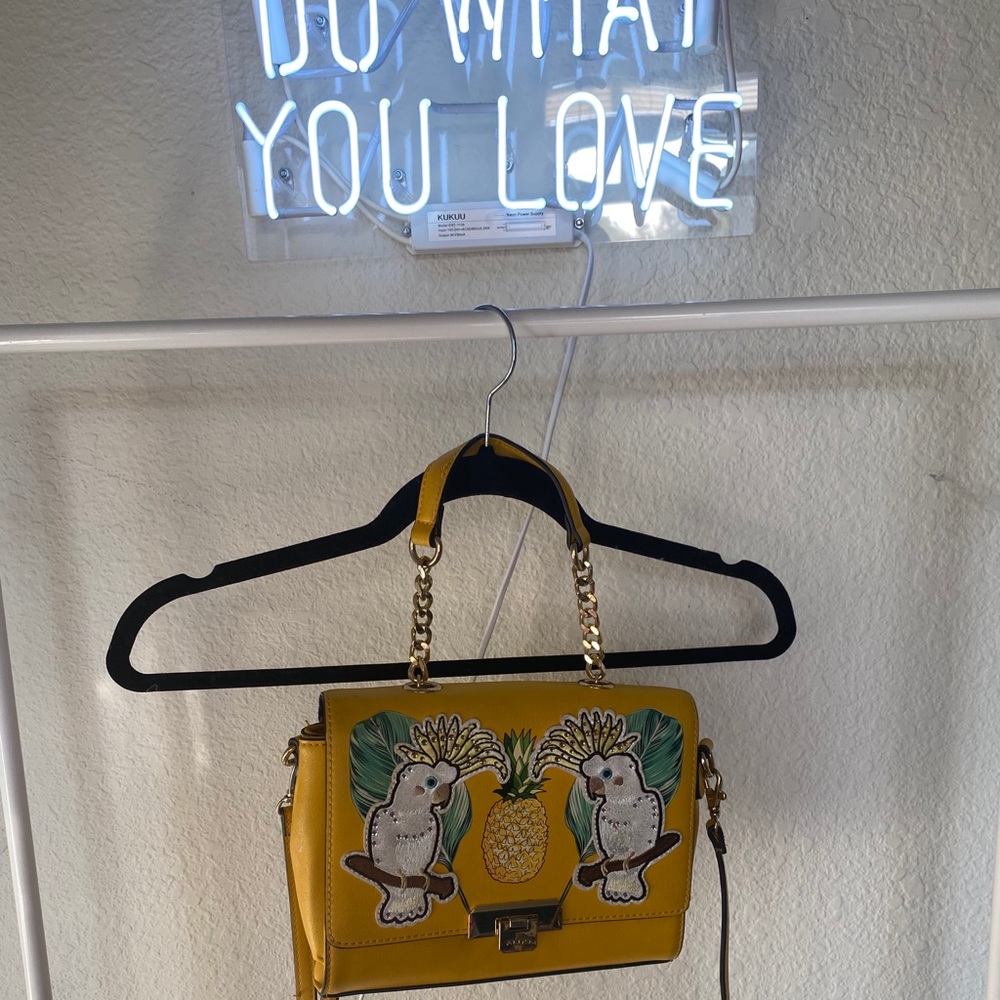 Seasonal Aldo Bag